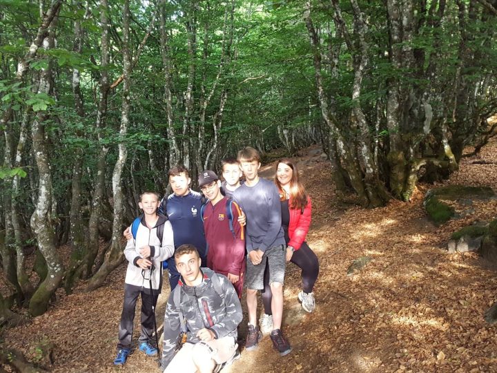 Vacances dans les Vosges pour des jeunes de Boulay